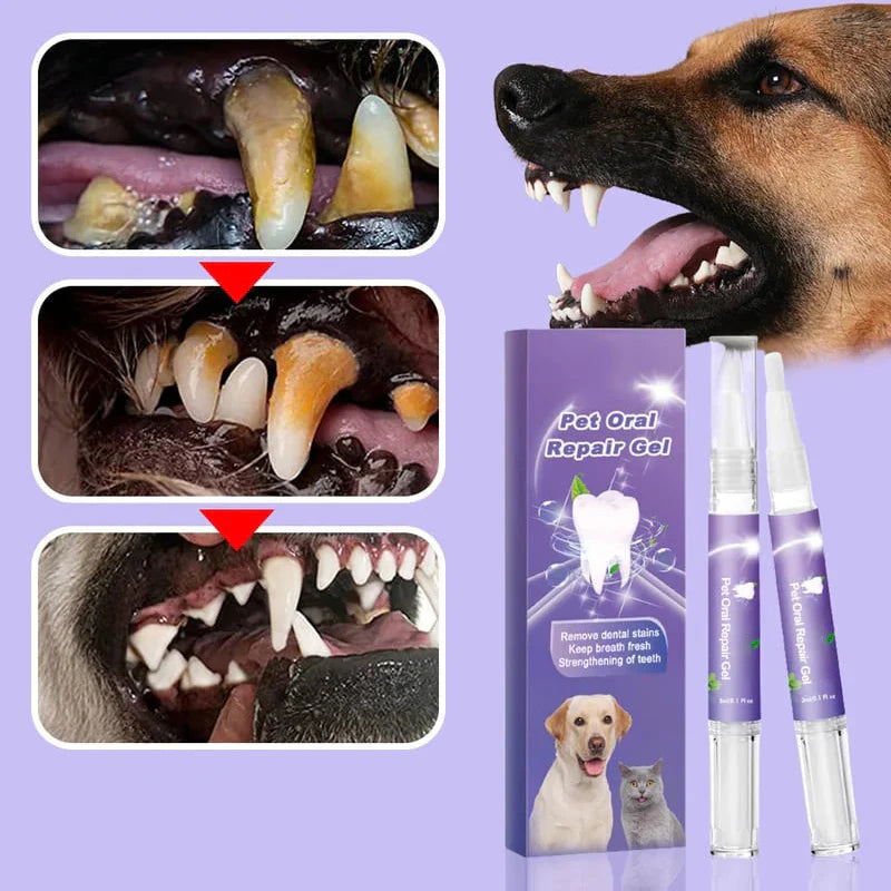 (🔥Kupte 1 a získejte 1 zdarma🔥)gel pro ústní hygienu domácích mazlíčků